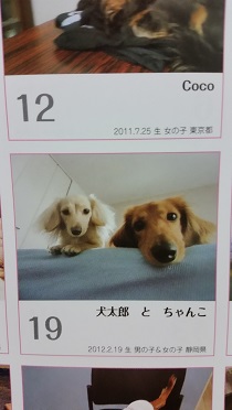 20141204_234558.jpg