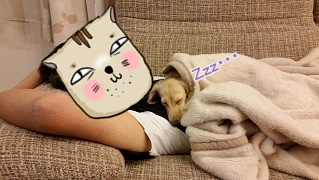 ちゃんことパパ