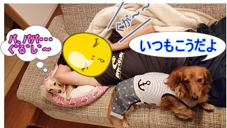 つぶれるちゃんこ