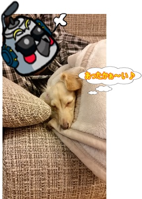 ぬくぬく