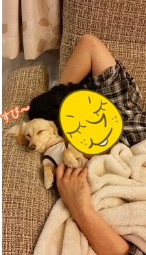 パパとちゃんこ