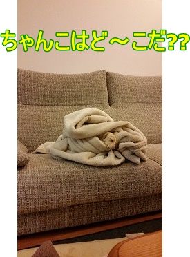 問題