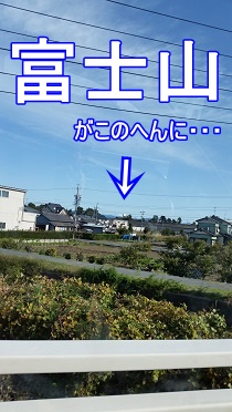 富士山もどき