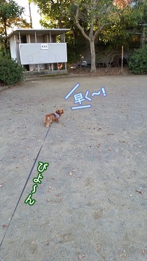 びよ~ん