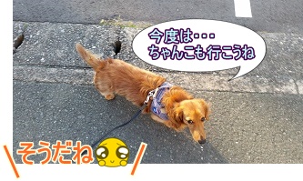 帰り道