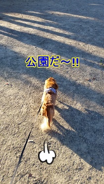 公園