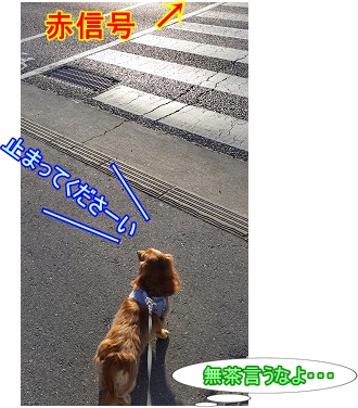 信号待ち