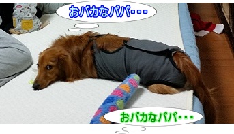 おバカなパパ