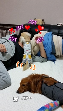 パパ!パパ!!