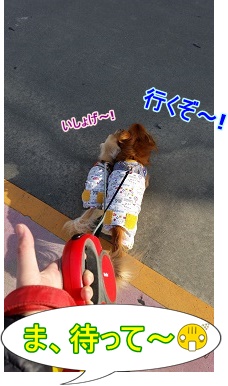 いそげ~!!