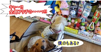 おもちゃコーナー