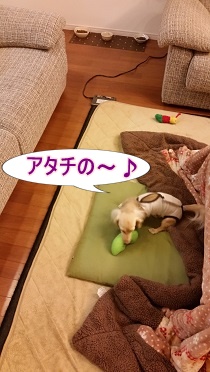 アタチの!