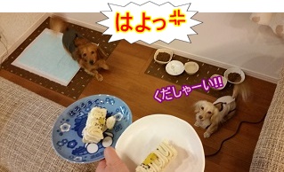 ケーキ