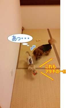 これもアタチの