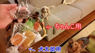プレゼント