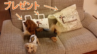 プレゼント披露