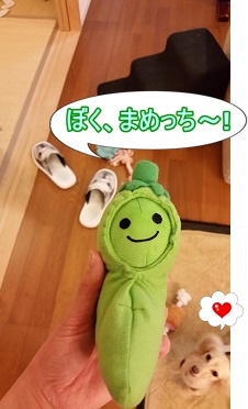 まめっち