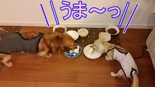 堪能