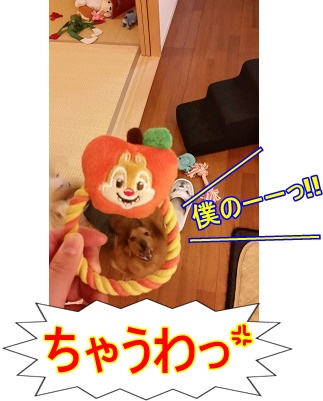 僕の!(じゃない)