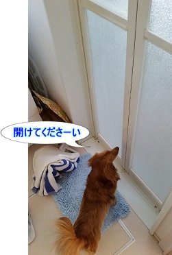 お風呂に入りたい子