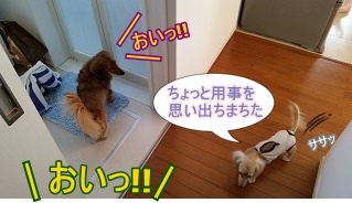 どこ行くねん