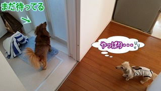 やっぱり・・・