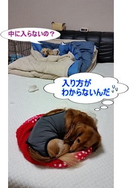 これでいいの?