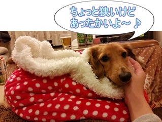 犬太郎寝袋