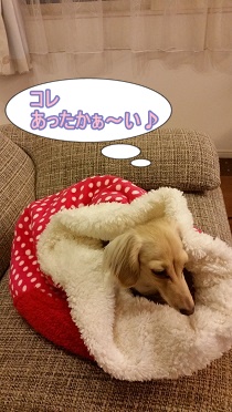 寝袋