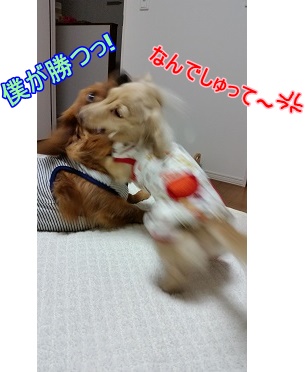 2R.jpg