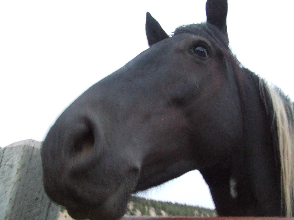 f0078702_15244221.jpg