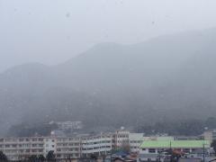 初雪