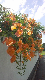 2012082718300000.jpg