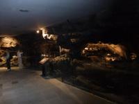 056_convert_20120709164945.jpg