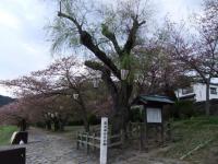 101_convert_20120504154737.jpg