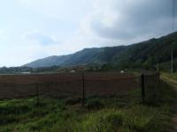 134_convert_20120606183032.jpg