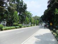 147_convert_20121104122537.jpg