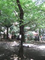 152_convert_20120729154131.jpg