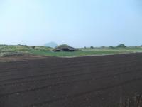 157_convert_20120714214544.jpg