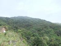 175_convert_20120609115458.jpg