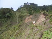 178_convert_20120609112441.jpg