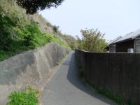 183_convert_20120508230723.jpg