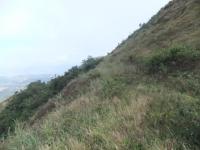 191_convert_20120610102844.jpg