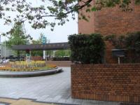 260_convert_20120513212000.jpg
