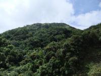 268_convert_20120613012756.jpg