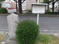 286_convert_20120515114736.jpg