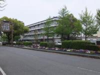 289_convert_20120513215613.jpg