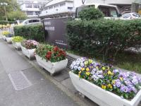 290_convert_20120513215744.jpg