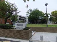 293_convert_20120513220903.jpg