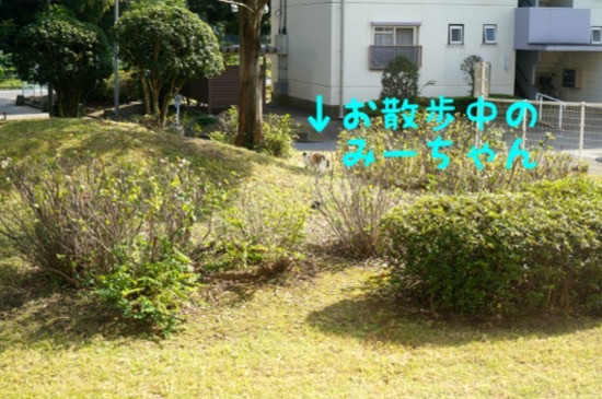 201410141439475b2.jpg